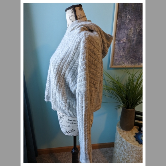 Express Light Grey Hooded Sweater - Picture 9 of 12